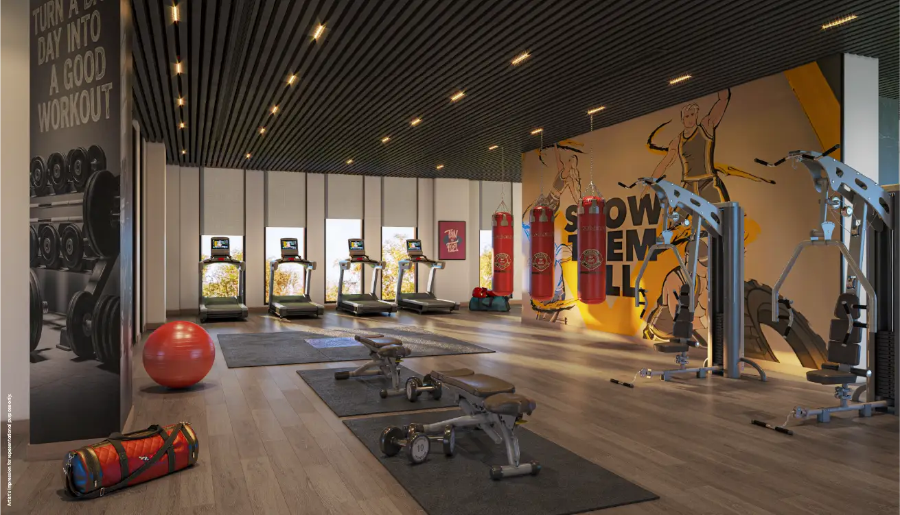 State-of-the-art Gym
